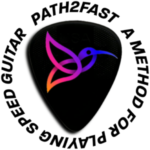 A colorful hummingbird logo on a guitar pick.